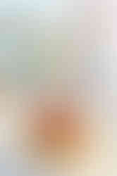 exported_2F195B21-F72E-46BA-8CC7-4448AF27FC14.JPG