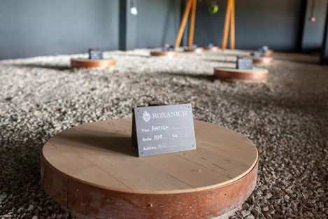 Visit Istria, Roxanich