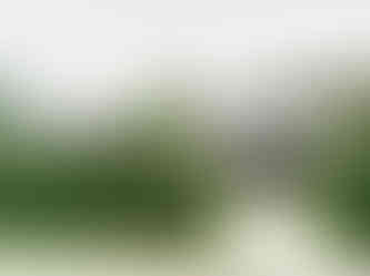 Visit Istria, Konoba Stari Podrum