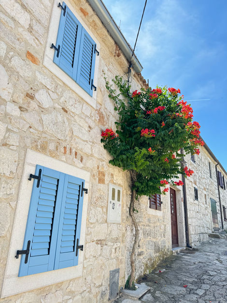 6AC34DFC-DD2F-480F-8951-5AB223B9A75C