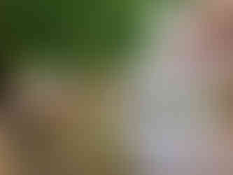 20210724_162313~2_Original.jpg