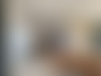 Sťahujeme sa na Istriu, deň -19. Tax office Rovinj.