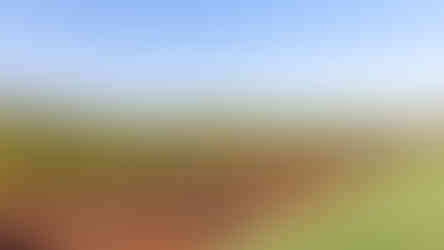 Visit Istria, Oliveri