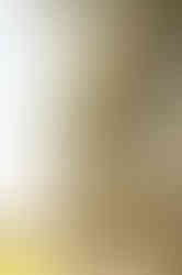 Visit Istria, Oliveri