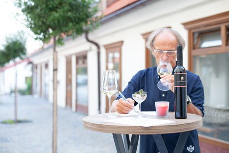Visit Istria, Kozlović Winery