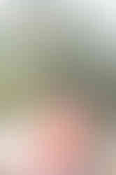 Visit Istria, Oliveri