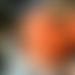 Appealing Criminal Cases