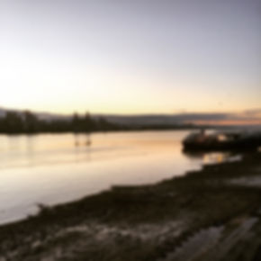 IMG_4083.jpeg
