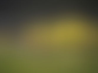 Doncaster Rovers academy vs Harrogate Town academy – Match Report