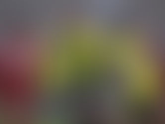 Pitchside videography - Jasper Moon goal vs Swindon