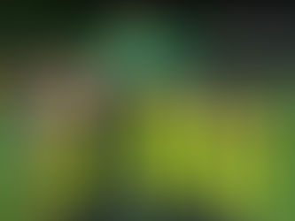 Rochdale academy vs Harrogate Town academy