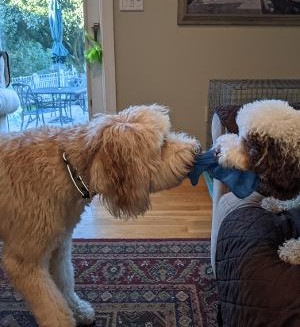 MARLEE_STALEY TUG.jpg