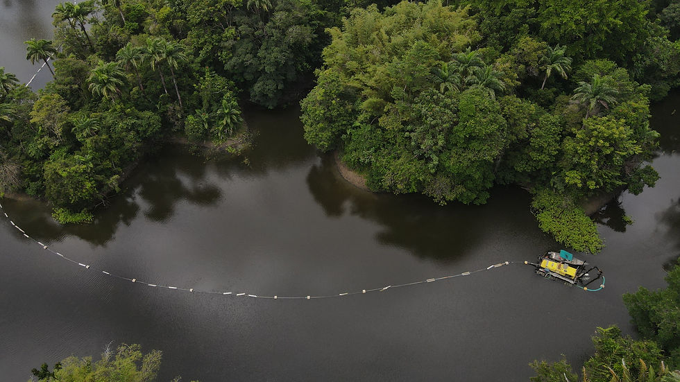 DJI_0250.JPG