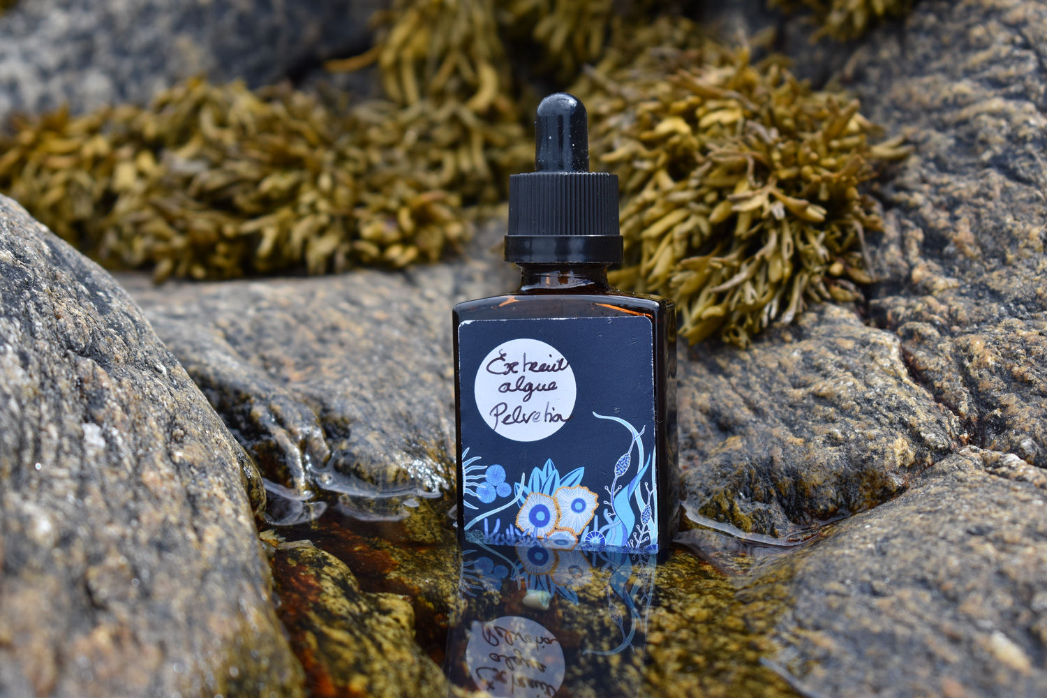 Elixir d'algue brune Pelvitie Bio **