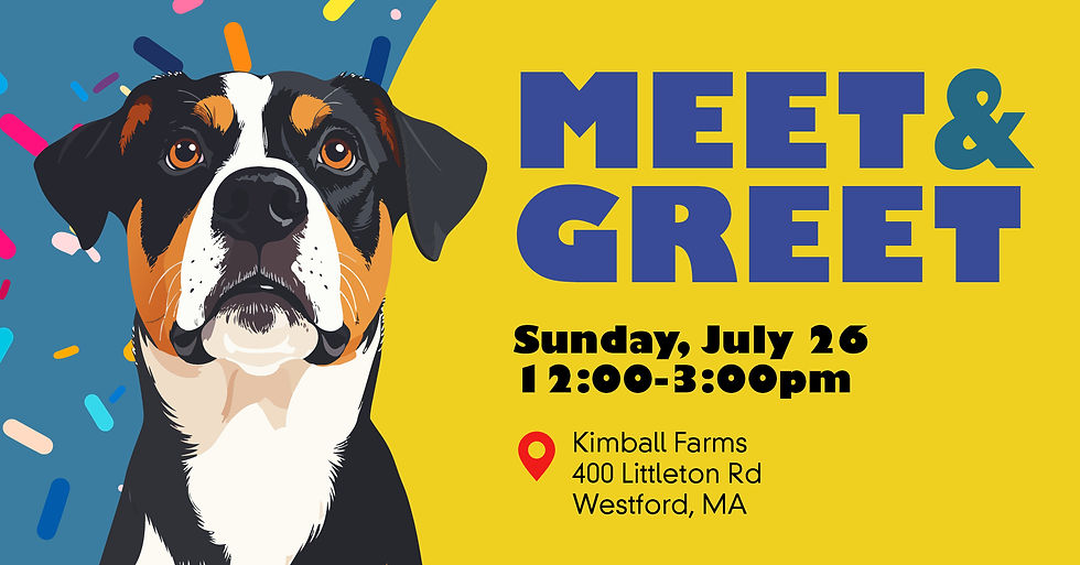 Meet and Greet - Westford, MA