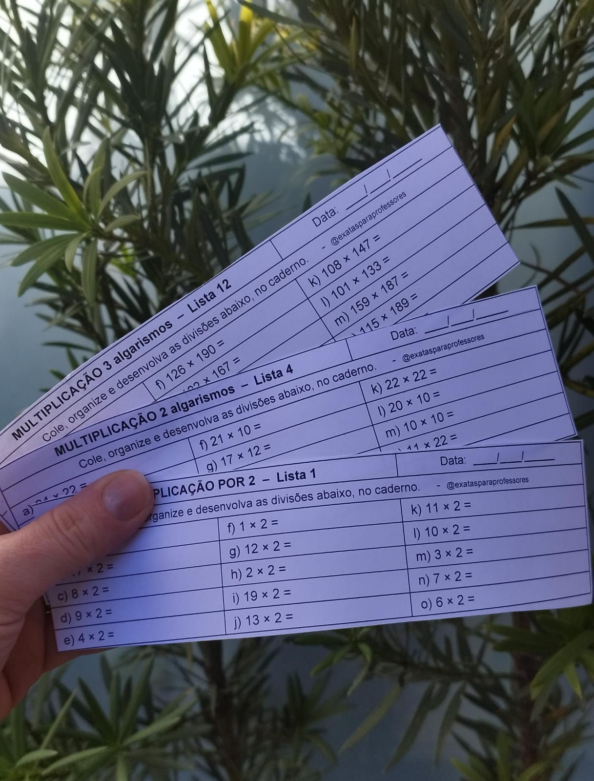 Fichas de multiplicação