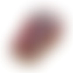 Tips for Dealing with Mice in Your Home