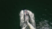 DJI_0766.jpg