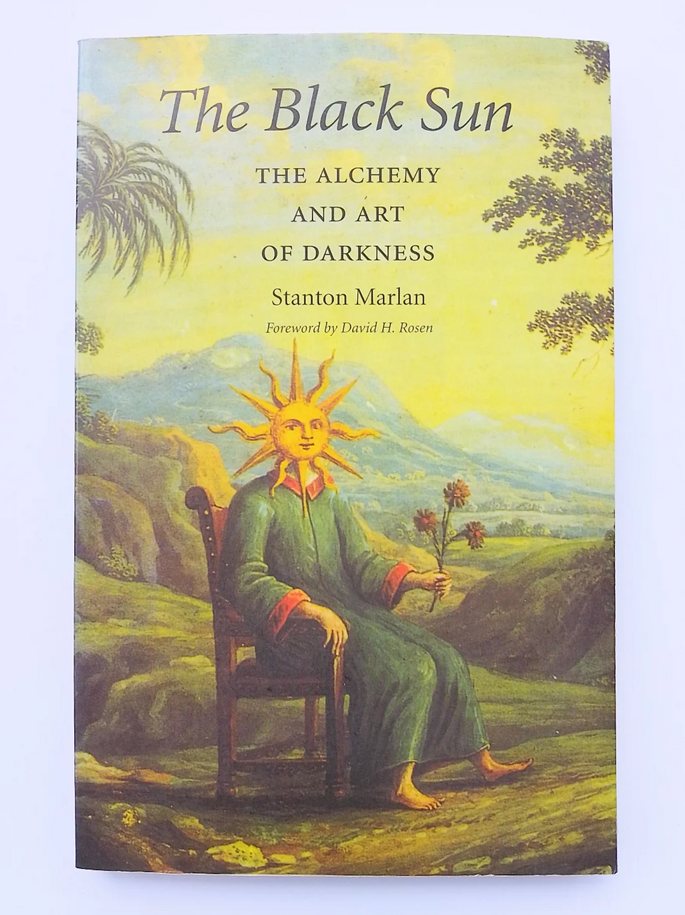Book cover of The Black Sun: The Alchemy and Art of Darkness, showing a sun-faced figure in green robe holding flowers in a yellow landscape.