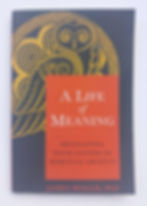 Book cover of James Hollis's A Life of Meaning, exploring depth psychology, vocation and the search for meaning.
