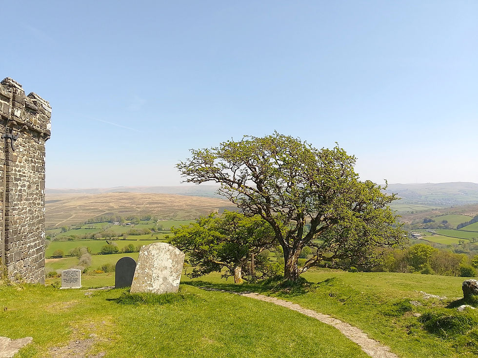 Stone wall and gravestones beside a tree on a grassy hill. Rolling hills and clear blue sky in the background create a serene landscape.