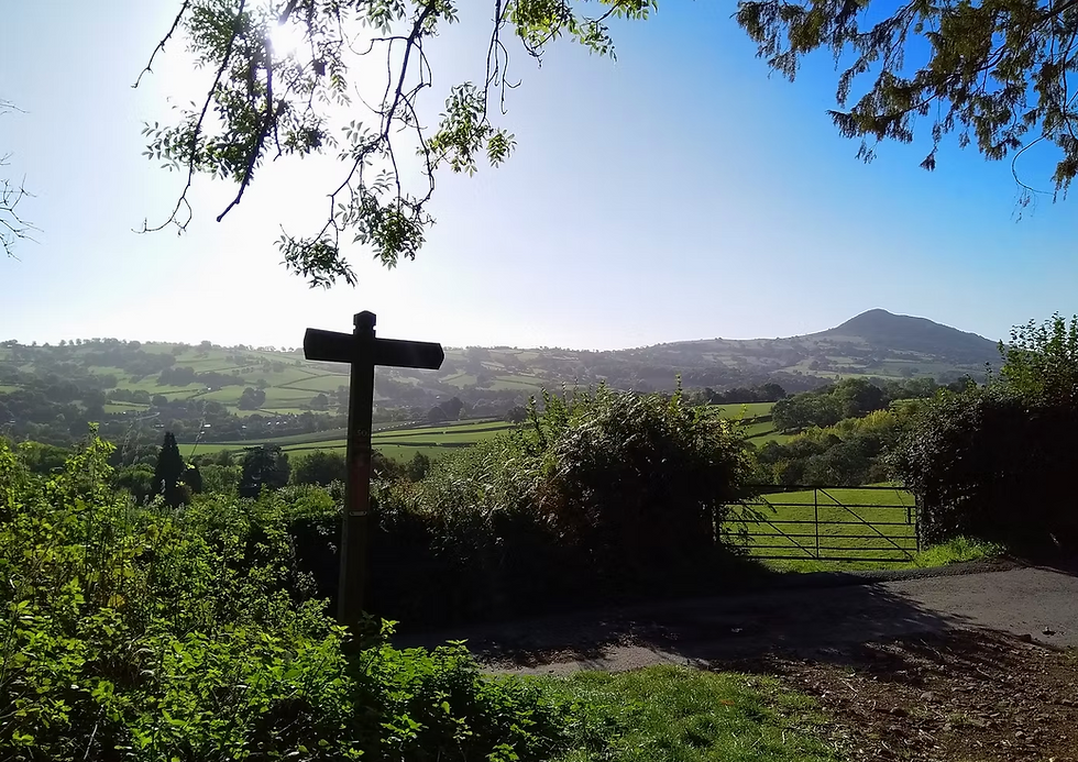 How To Find The Right Therapist