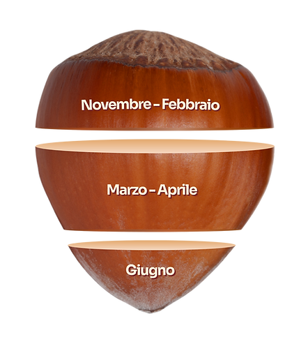 Materiale Brochure Wix - 169-5.png