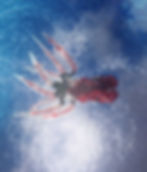 Volcano Squid