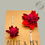 Thumbnail: New Eco Flower star flower hair clip set red (x2)
