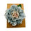 Thumbnail: large Pale blue peony hair clip set on a white background