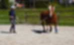 DSC_0008_edited.jpg