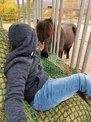 Reittherapie