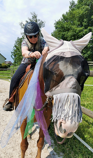 Reittherapie