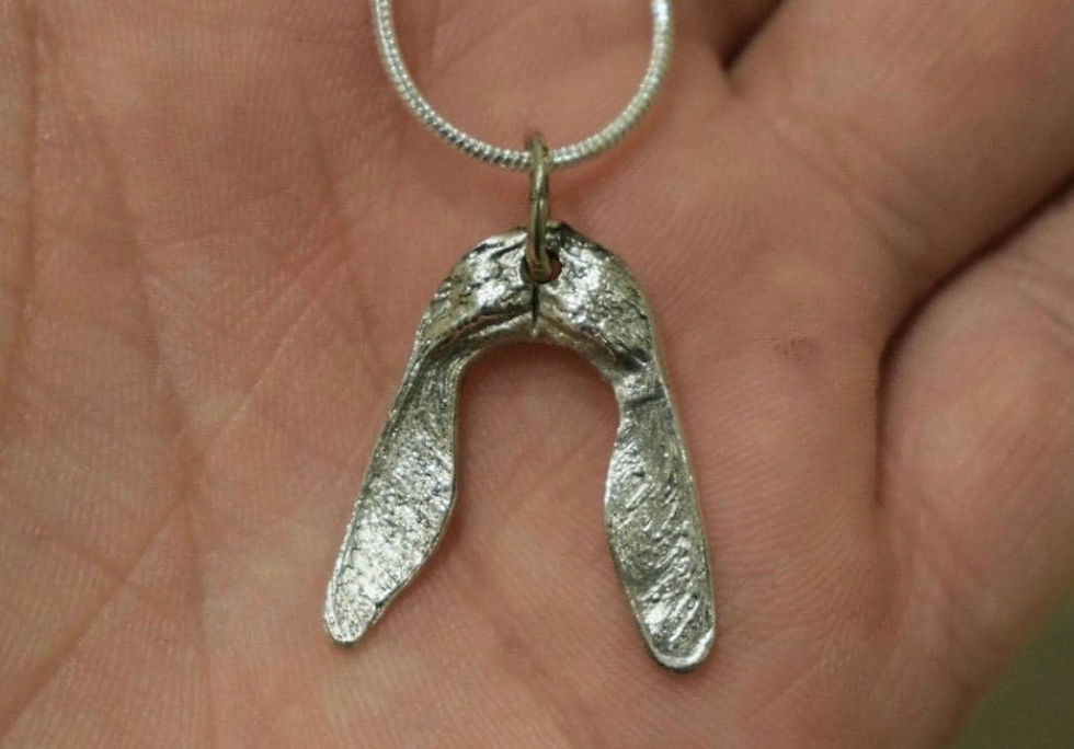 Thumbnail: Silver double sycamore seed