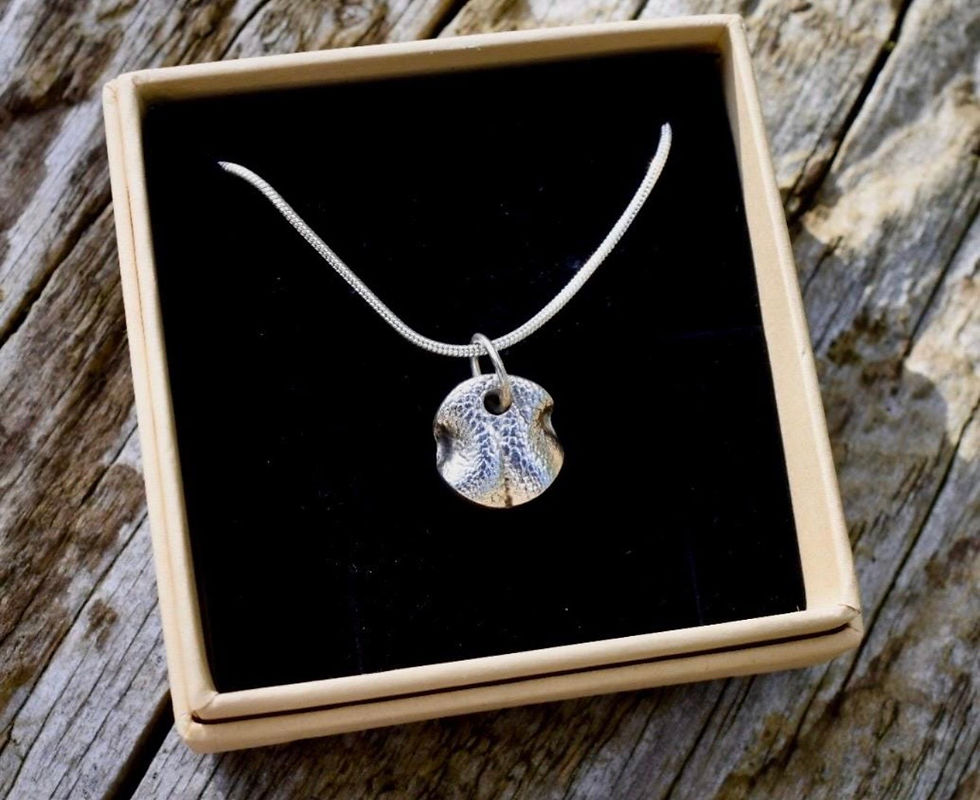 Thumbnail: Circle shaped silver dog nose pendant