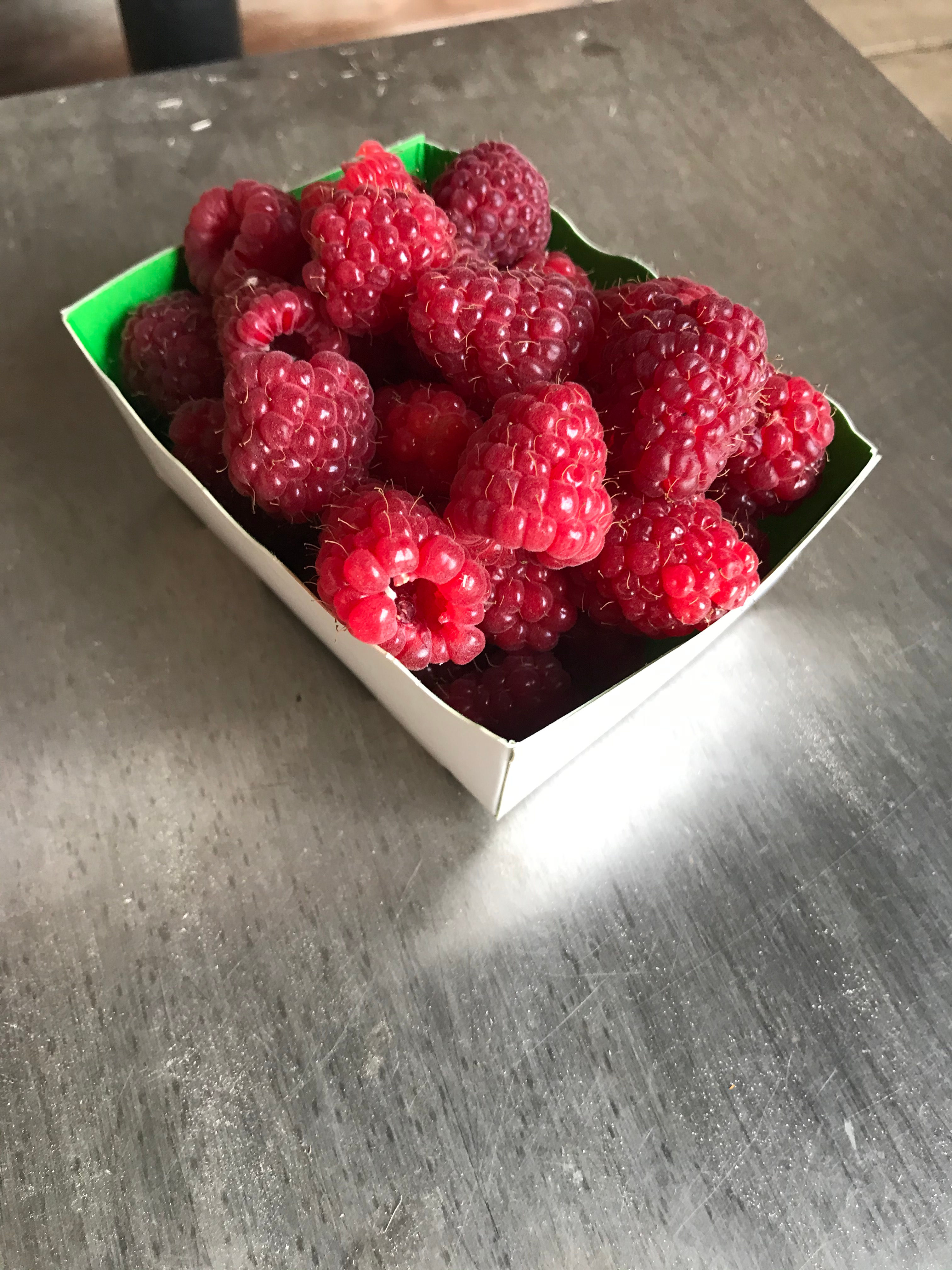 Framboises variété Polka