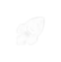 rocket.png