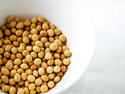 Soy and Cancer Prevention- Myth or Science?