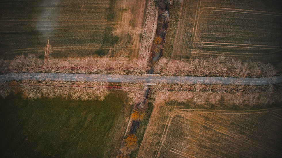 DJI_0750.jpeg