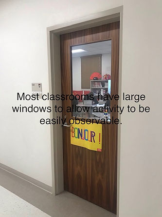 image5.jpeg