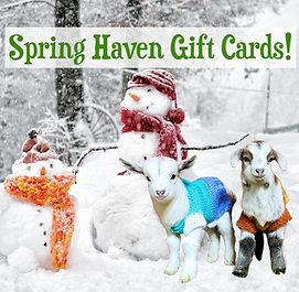 Spring Haven Gift Cards!.png