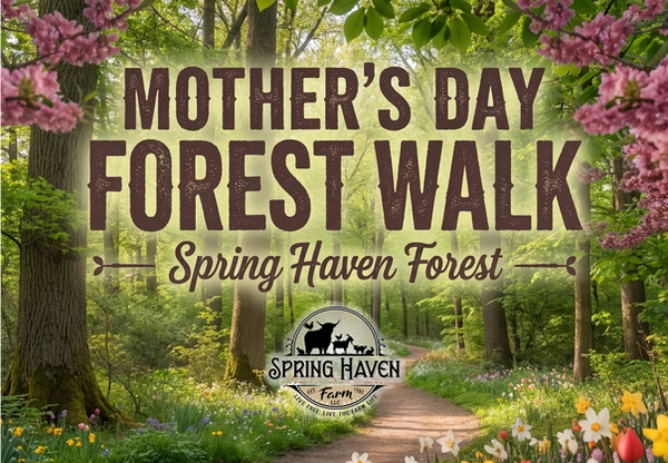 ao-inves-de-farm-colcoar-forest_DfmdTy_vQvSbUpQsgjTt2Q_gjFnr-mTTbapuQT5vwzddA_hd copymkkMKM.png