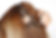 shutterstock_1518046355.jpg