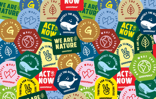 Greenpeace Belgium - rebranding