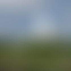 Sábado 06 de Diciembre/ San Javier.