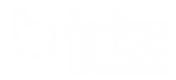 biriz.png
