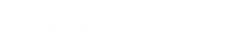 kar-porselen kopya.png