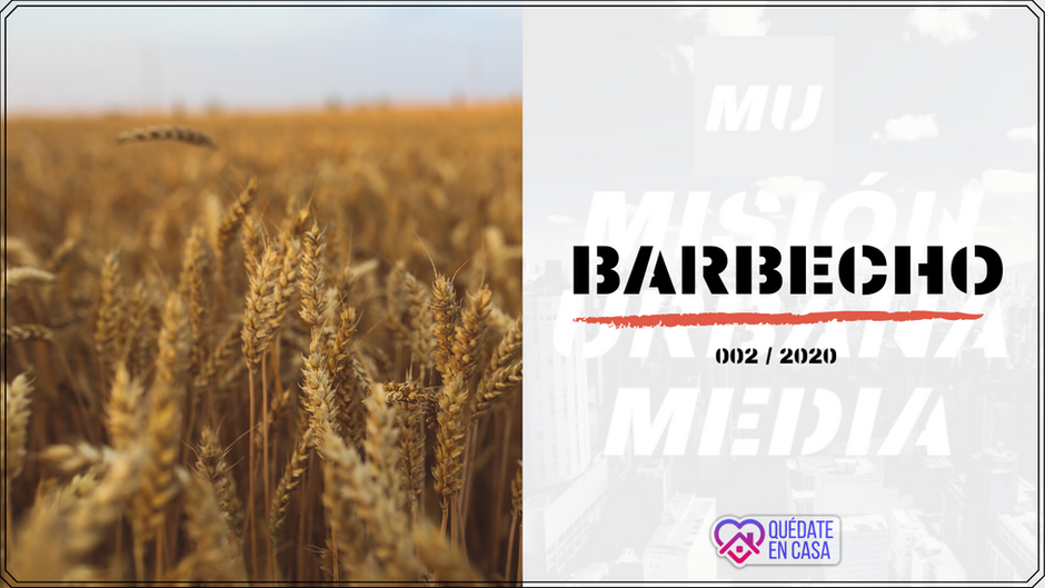 BARBECHO, lo que debes hacer en medio de esta pandemia