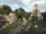 site-archélogique-de-tikal-guatemala
