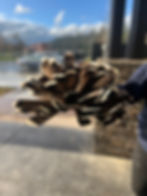 Women's Pomo top knot head dress